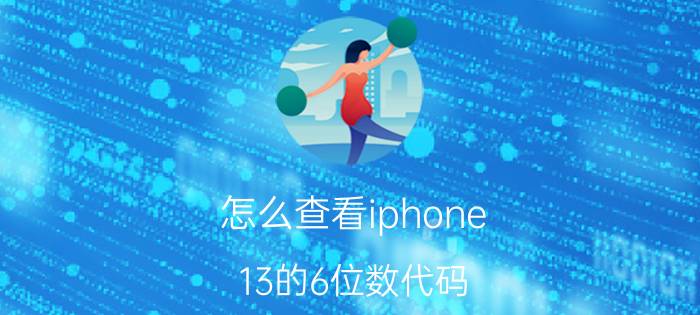 怎么查看iphone 13的6位数代码 苹果13正品序列号什么开头？